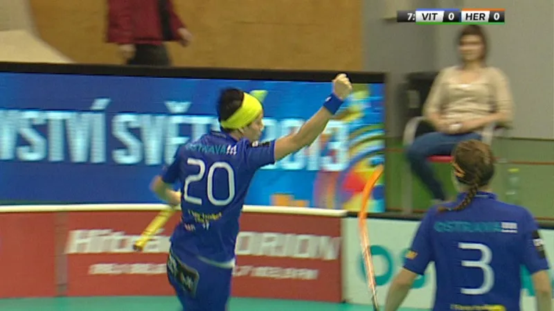 Sestřih a ohlasy utkání Vítkovice - Herbadent