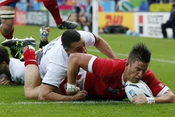 D. T. H. van der Merwe