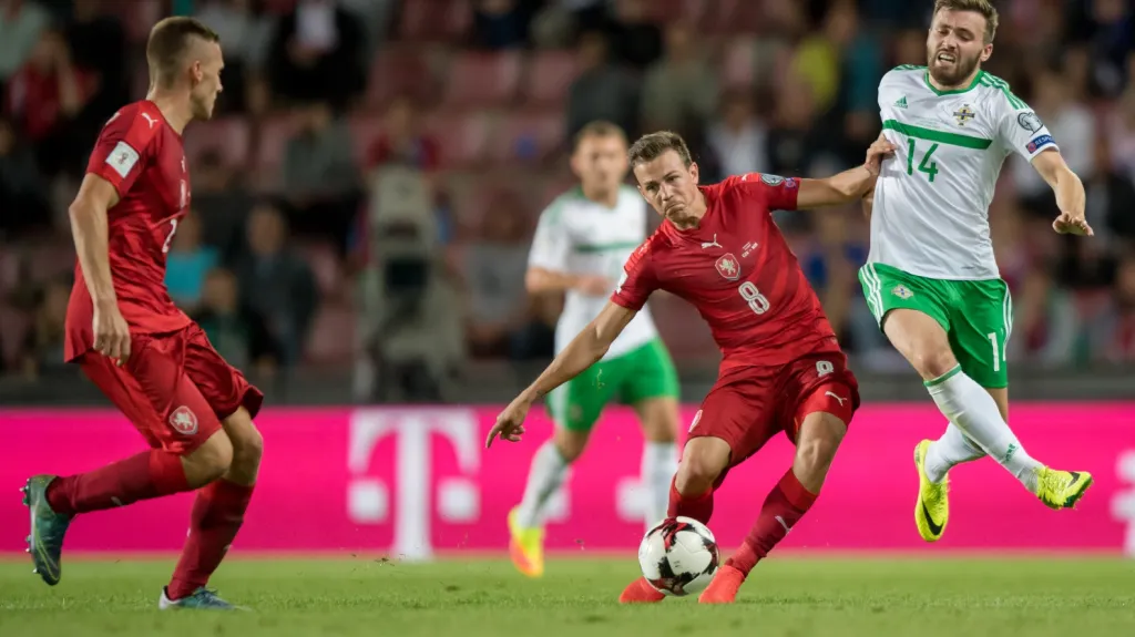 Utkání Česko - Severní Irsko