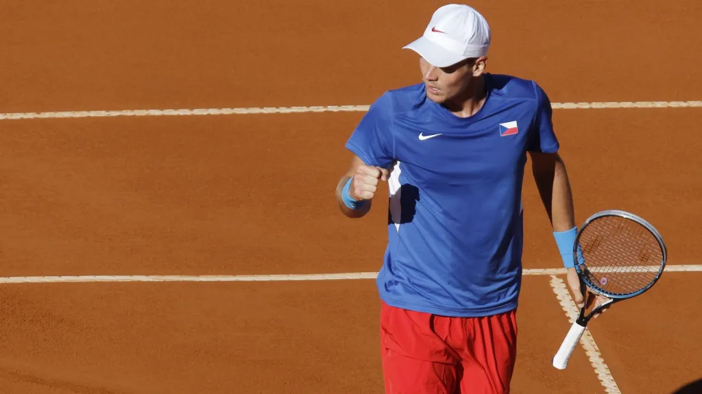 Tomáš Berdych v Davis Cupu