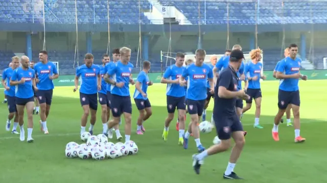 Hašek měl den před utkáním s Černou Horou několik otazníků v sestavě