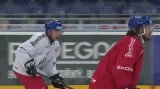 Hokejovou reprezentaci doplnilo kvarteto hráčů z NHL