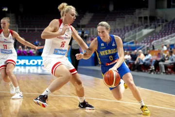 Utkání Česko - Švédsko