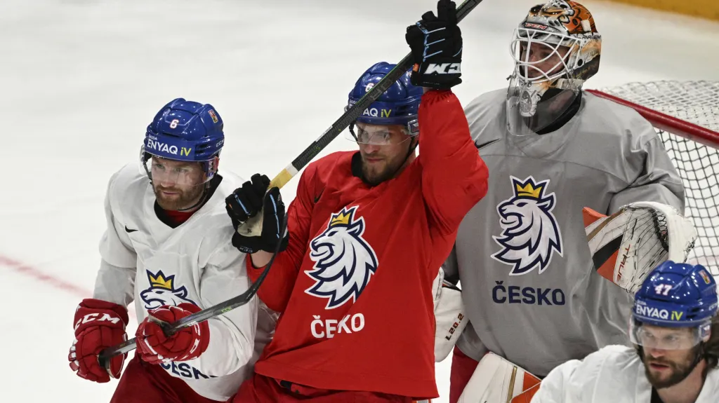 Hokejisté českého národního týmu
