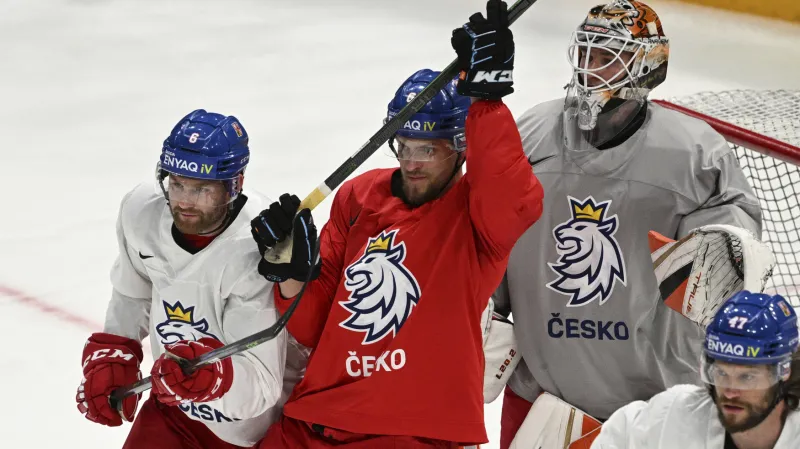 Hokejisté českého národního týmu