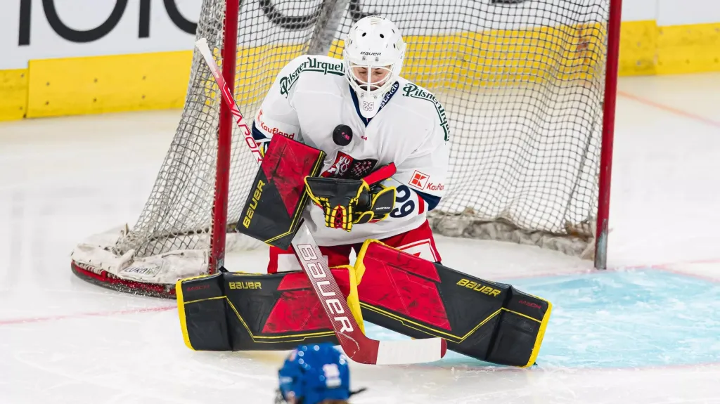 Česká ženská hokejová reprezentace