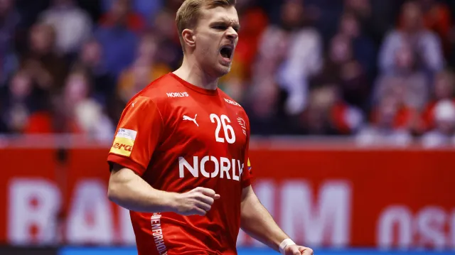 Sestřih utkání Dánsko – Brazílie