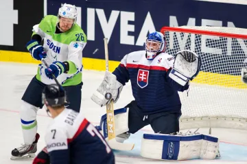 Slovensko - Slovinsko