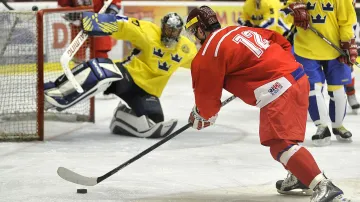 Utkání hokejových legend