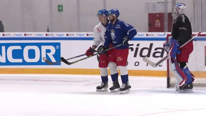 Češi před utkáním se Švédskem pilovali hru v početní výhodě