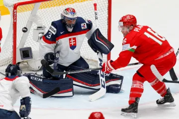 Brankář slovenské reprezentace Július Hudáček