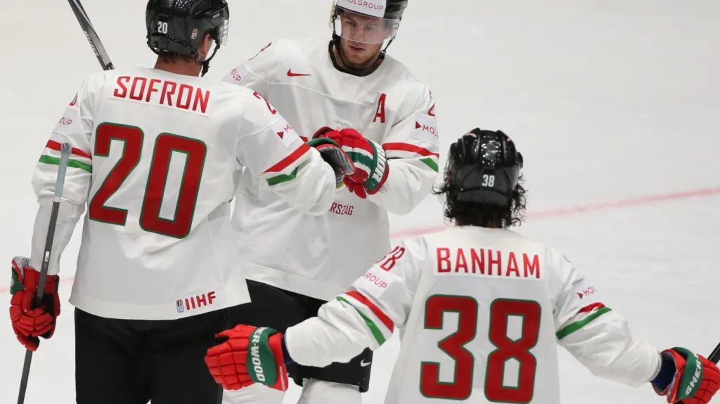 Maďarští hokejisté