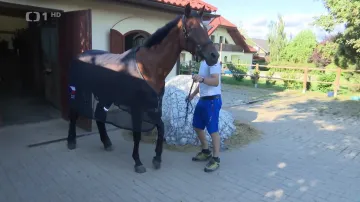 Trunda se Shutterfly vyrazili do Paříže pouhé čtyři dny před závody