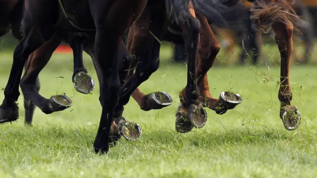 Velká pardubická 2025