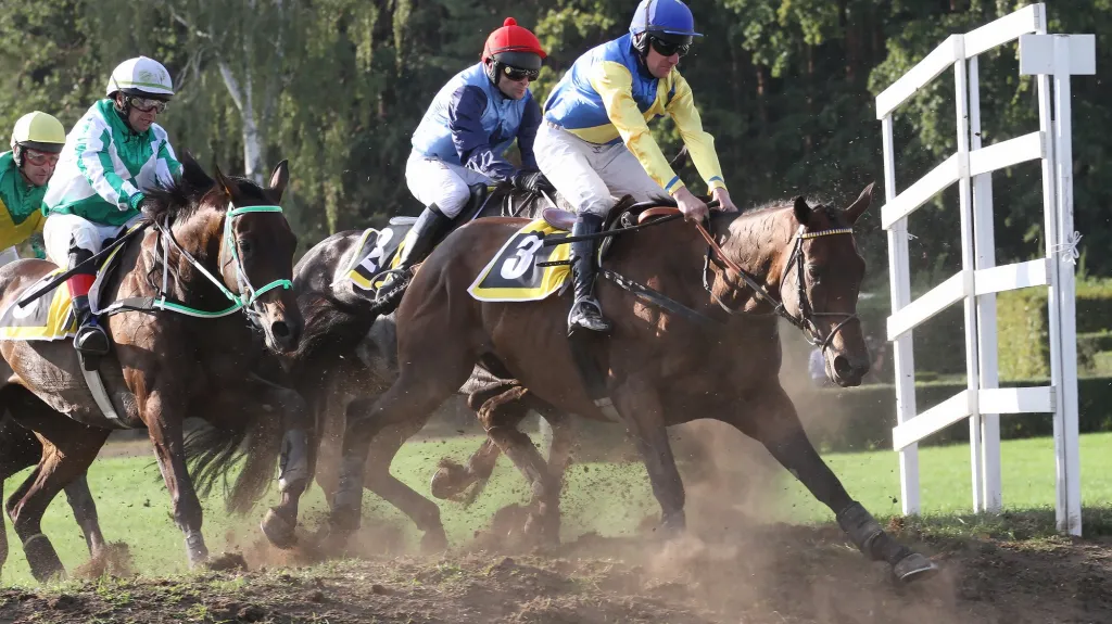 Tzigane du Berlais s Janem Faltejskem