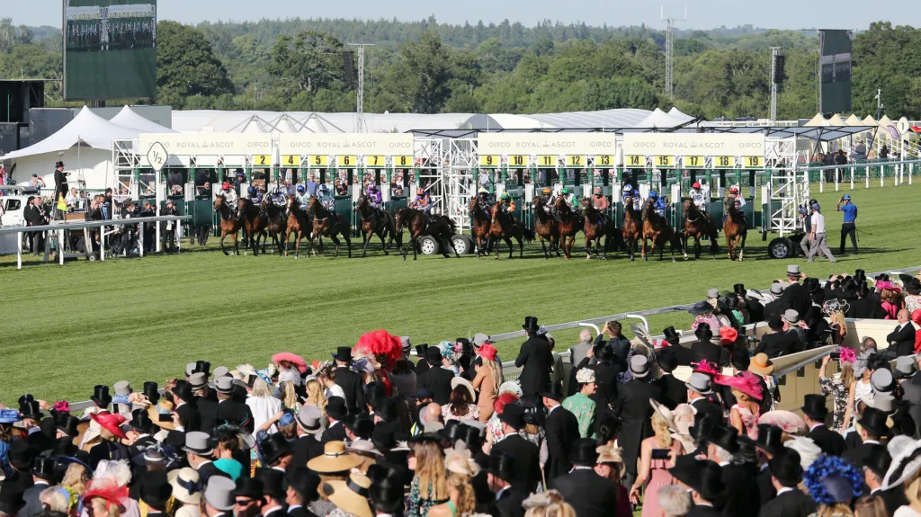 Dostihy v Ascotu