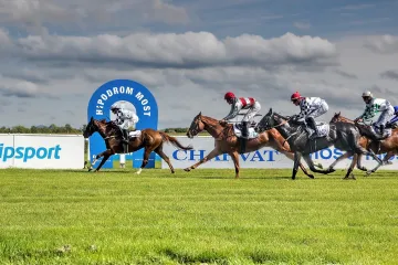 Dostihy na Hipodromu Most