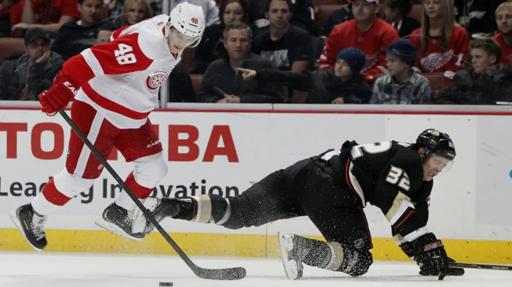 Utkání Detroit - Anaheim