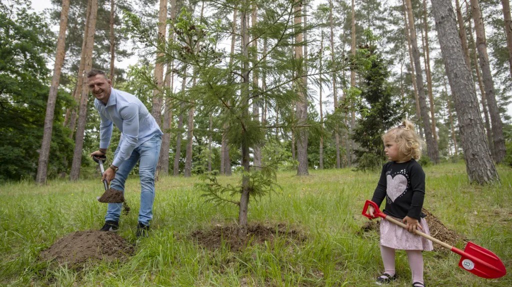 Lukáš Krpálek sází kryptomerii japonskou