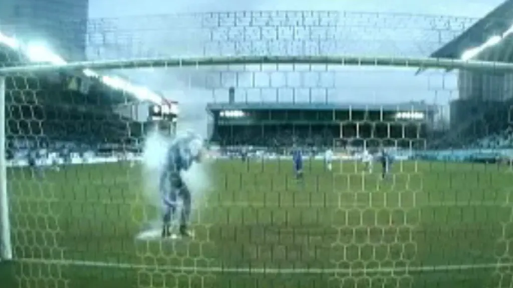 Šunin zasažený světlicí