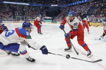 Libor Hájek v reprezentačním utkání proti Slovensku