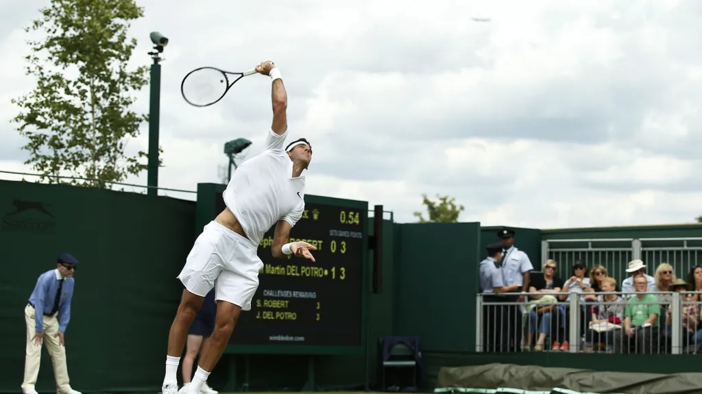 Juan Martín del Potro