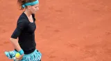 French Open 2014