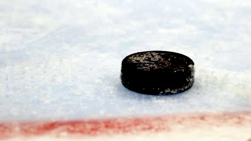 Led na hokejový šampionát už se mrazí