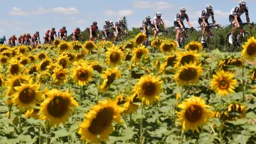 Tour de France 2017