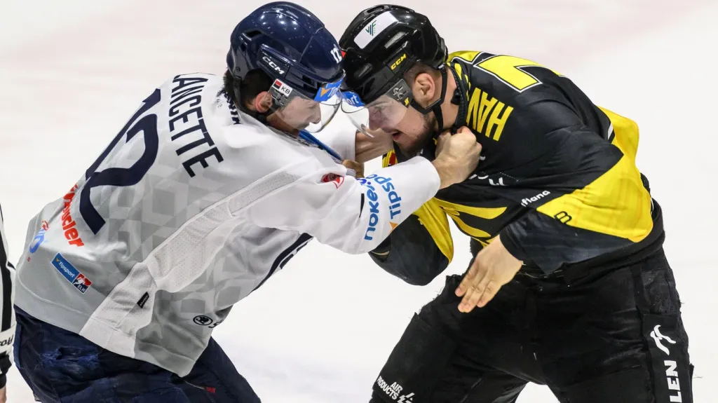 Christophe Lalancette z Plzně (vlevo) a Martin Havelka z Litvínova