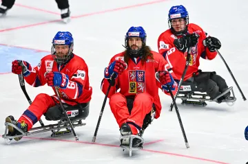 Čeští parahokejisté