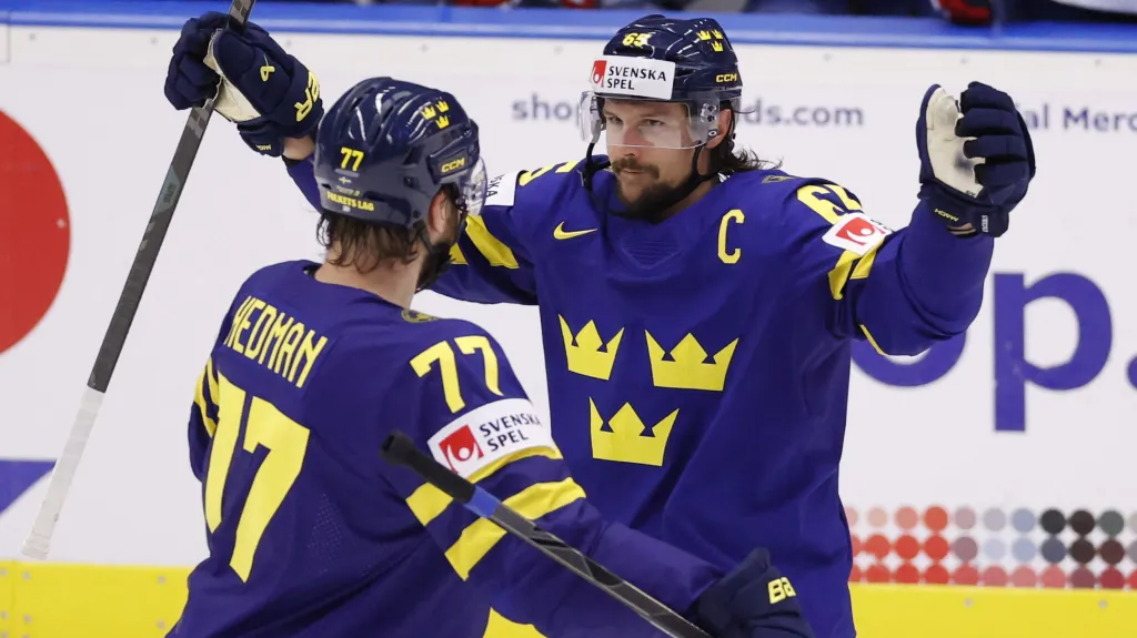 Švédové se radují z gólu v zápase s Francií