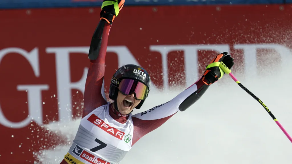 Stephanie Venierová