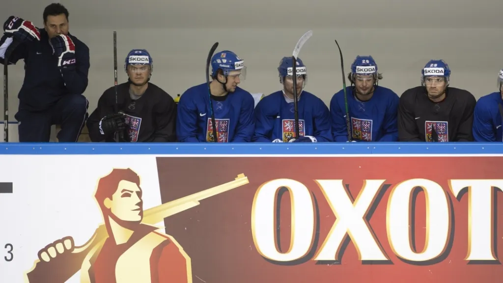 Vladimír Růžička na české lavičce