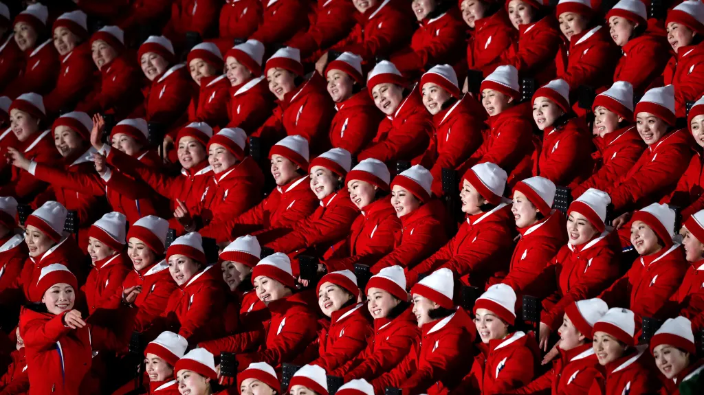 Severokorejské rotleskávačky