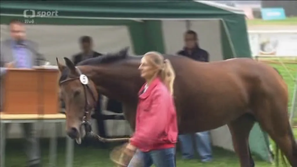 Dražba koní odstartovala víkendový festival před Velkou