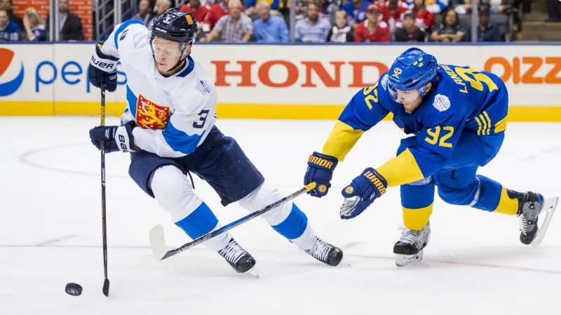 Utkání Finsko - Švédsko