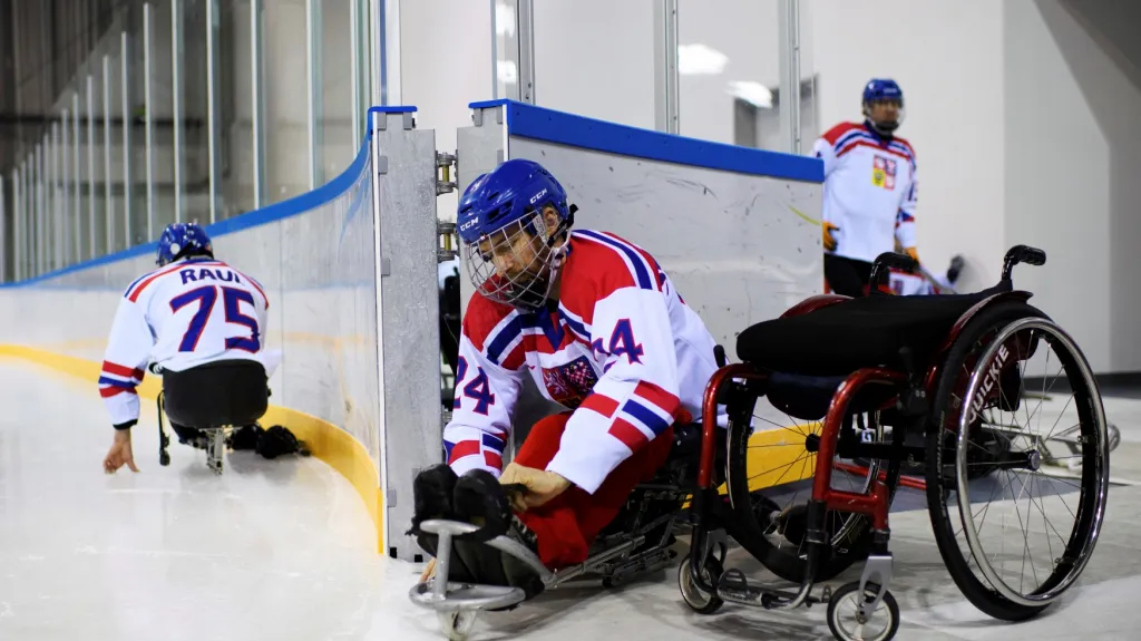 Čeští sledge hokejisté