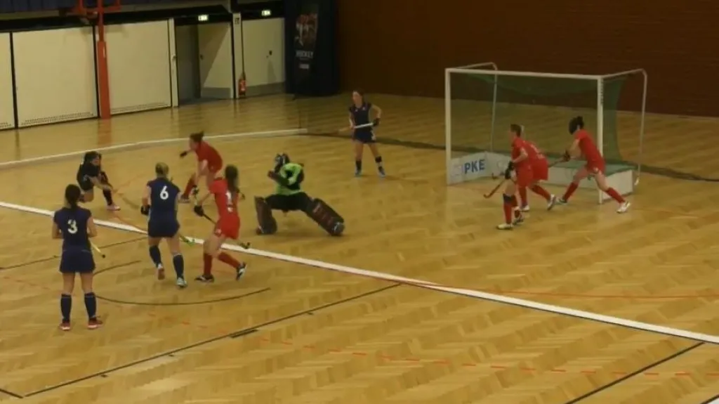 Halový pozemní hokej