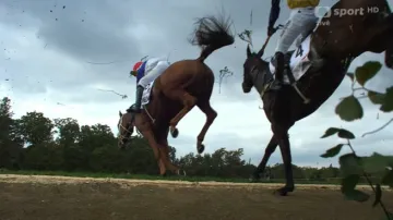Velká pardubická s vítěznými ohlasy