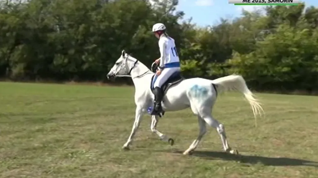 Jezdkyně Kopecká se stala světovou jedničkou ve vytrvalosti