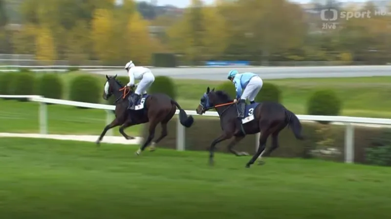 103. Cena prezidenta republiky s ohlasem vítěze