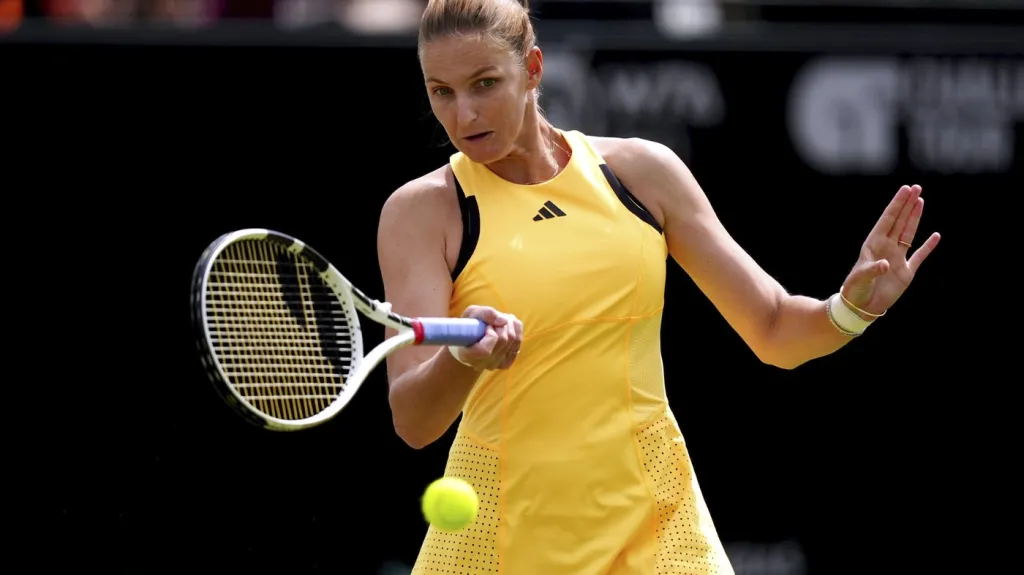 Karolína Plíšková