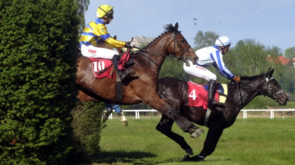 Dostihy v Lysé nad Labem