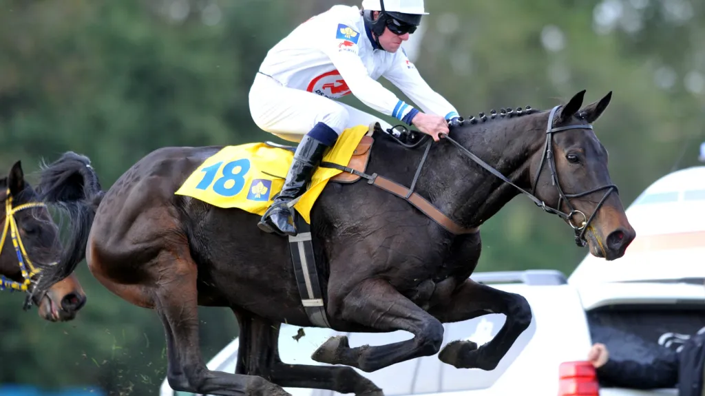 Orphee de Blins s Janem Faltejskem