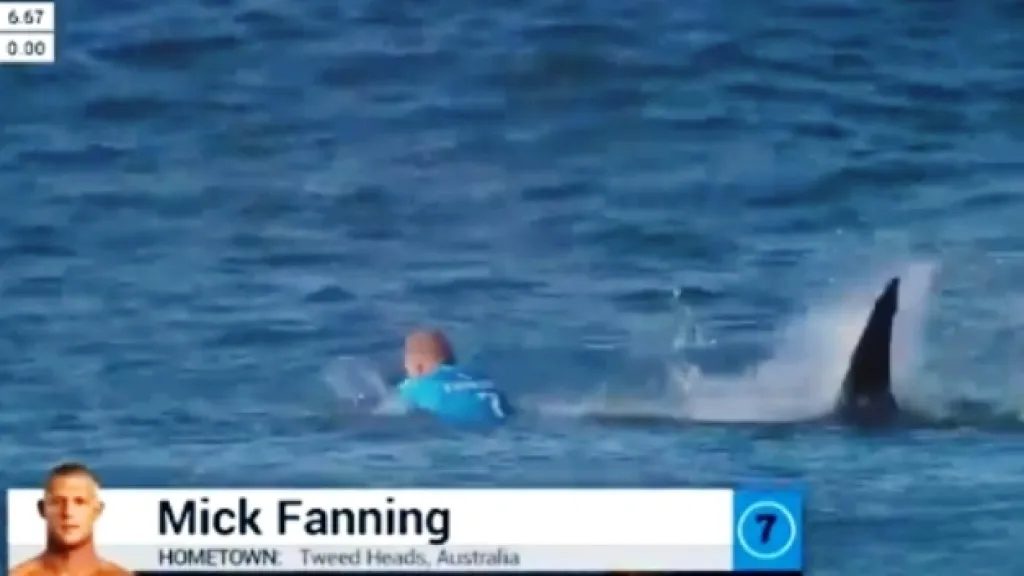 Surfař Mick Fanning při střetu se žralokem