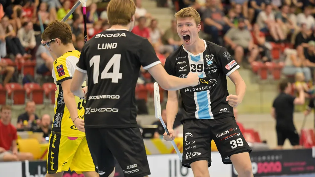 Slavící hráči Mladé Boleslavi