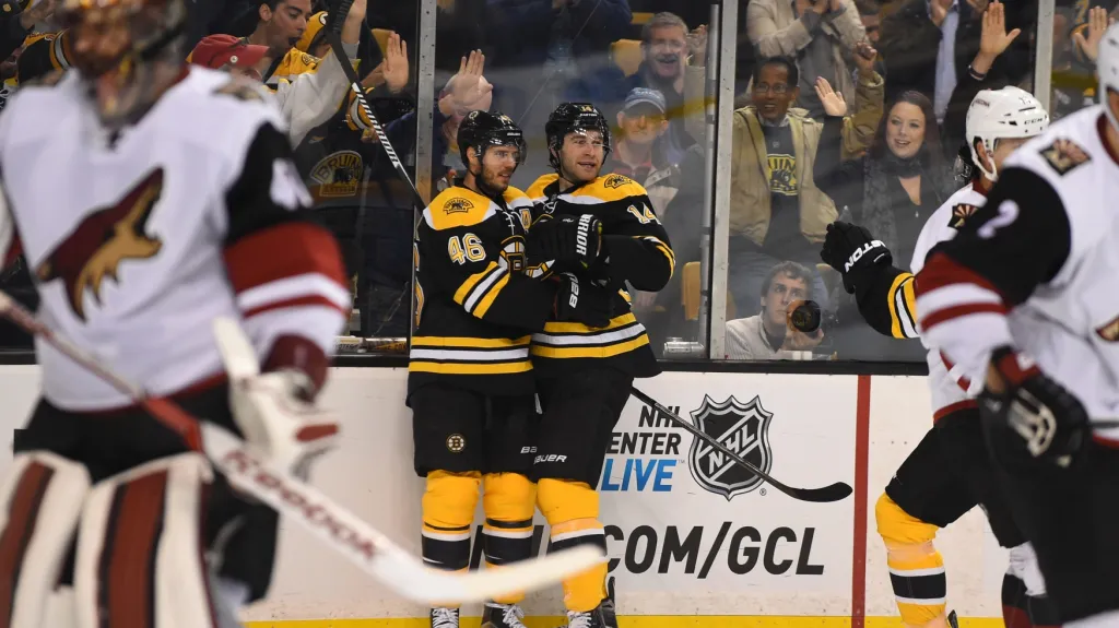 Bostonský David Krejčí (vlevo) slaví s Brettem Connollym gól v síti Arizony