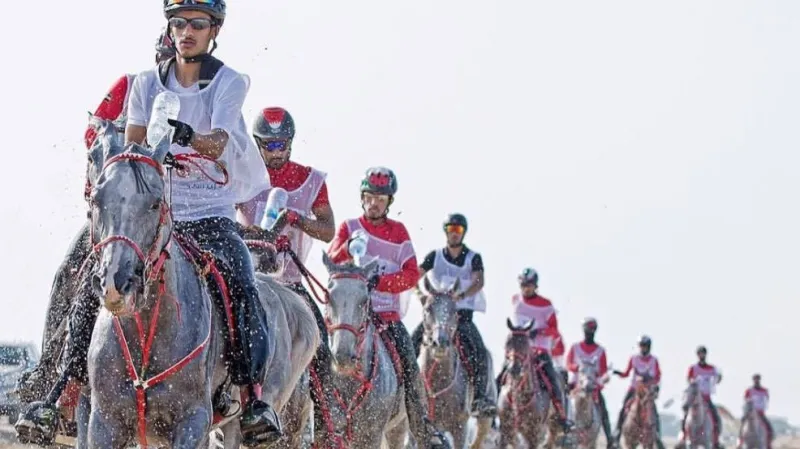 Nejlepší vytrvalostní jezdci v Bahrajnu, stáj Victorious