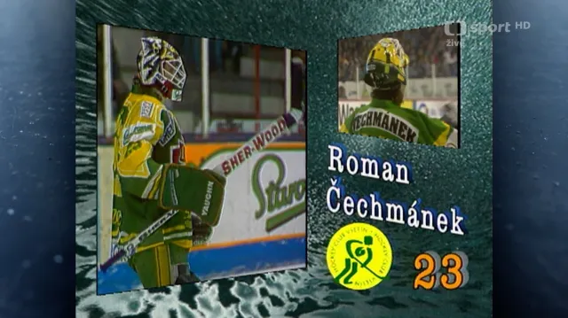 Medailon Romana Čechmánka